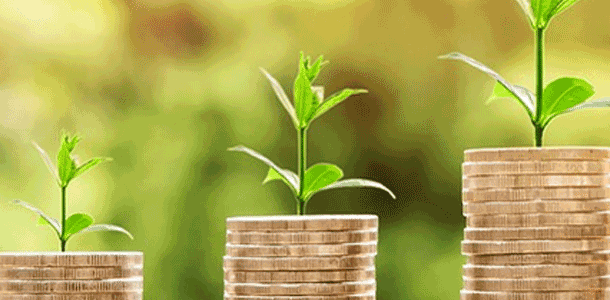 Grünes Kapital? Investment auf dem ethischen Prüfstand (Hybrid-Tagung)